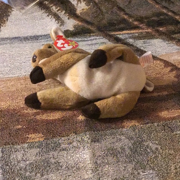 TY beanie baby DEER Whisper dob 4/5/97 hang tag on very cute clean bagged - Picture 8 of 11